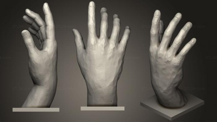 Anatomy of skeletons and skulls (Hand Of God, ANTM_0615) 3D models for cnc